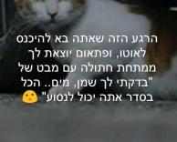 יכול לנסוע