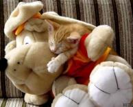 החברים הכי טובים