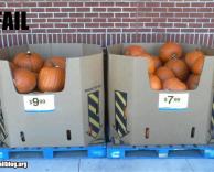 זה טרי אדוני?