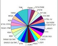 אני אוהב
