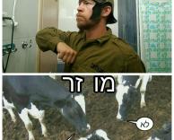 מוזר