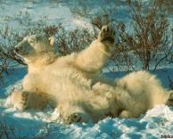 אל תצלם אותי