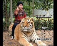 אחלה חיית מחמד