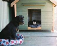 החליפו מקומות