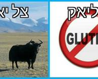 צליאק