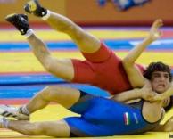 מהלכי האבקות