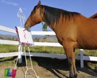 סוס מצייר