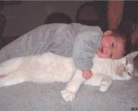 החברים הכי טובים