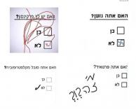כן או לא?