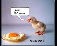 משה !