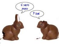 ארנבי שוקולד