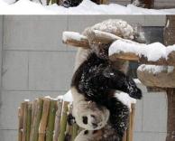 ניסיון לעזור