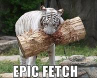 תפוס את המקל