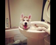 מה אני אעשה, היה ממש חם היום