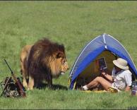 קפץ לומר שלום