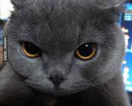 תסתכל לי בעיניים :)