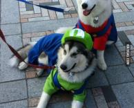 מריו וחברו הטוב