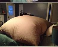 איזה מגניב...