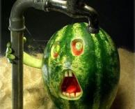 אבטיח שחסר לו מים