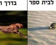 הבדל קטן