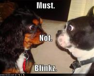 מצמוץ ראשון