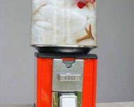 מכונת ביצים