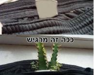 מקרה נוראי