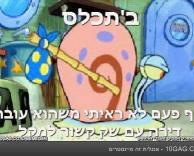 וואלה, זה באמת נכון..