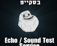 בסקייפ