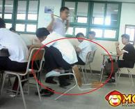 בית ספר לנינג'ות