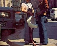 איפה לא תמצא שירותים?