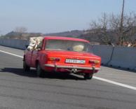 סוס בתוך אוטו