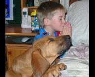 הילד מספר סוד לכרית והכלב מקשיב