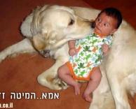 כלבה ותינוקת