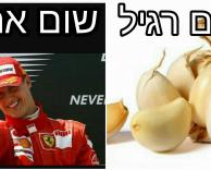 שום