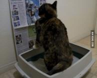 אוהב להשאר בעניינים