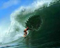 תפסתי גל או להפך