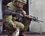 חייל וחתולה