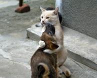 חיבוקקקקקקקקק