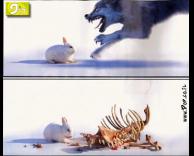 ארנב יגור עם זאב