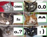 סמיילים לפי חתולים