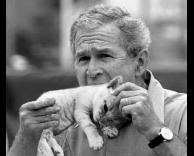 בוש אוכל סנדוויץ