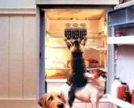 שיתוף פעולה משגע!