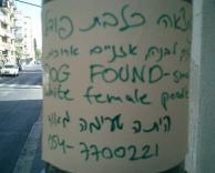 נמצאה כלבה-נאכלה!