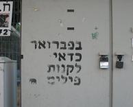 מתי כדאי לקנות פילים?
