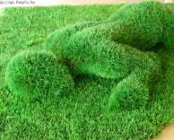 דשא בצורת בנאדם
