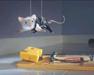 הדרך לגבינה