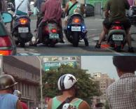 מושב מיוחד לכלב