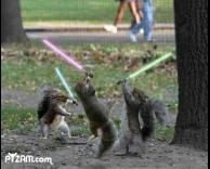 מלחמת הכוכבים