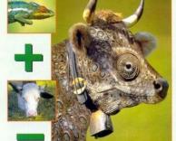 בגרות במתמטיקה 2